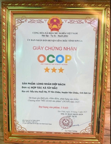 LONG NHÃN DIỆP BÁCH (Lọ 200g)