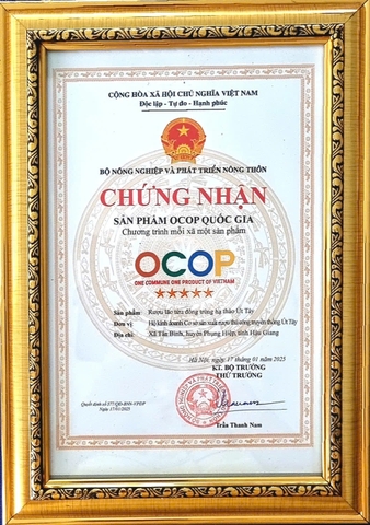 RƯỢU LÃO TỬU ĐÔNG TRÙNG HẠ THẢO ÚT TÂY (650ml)