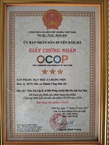 HẠT MẮC CA RANG MỘC (Túi 500g)