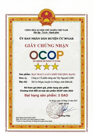 HẠT MACCA SẤY KHÔ THƯỢNG HẠNG( Size vừa- 500g)