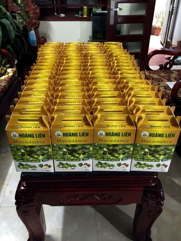 MACADAMIA HOÀNG LIÊN (Nứt vỏ 500g)