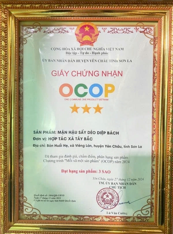MẬN HẬU SẤY DẺO DIỆP BÁCH (200g)