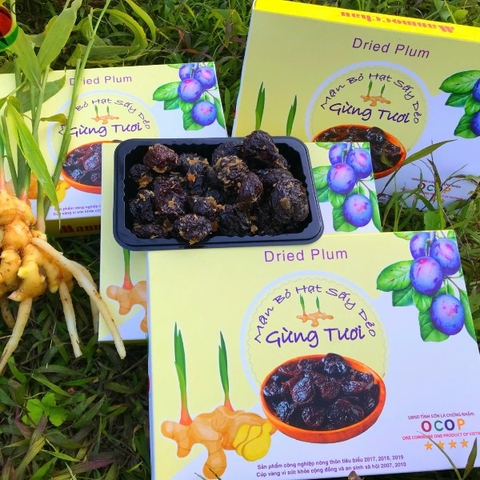 MẬN SẤY GỪNG ( 30 Hộp)