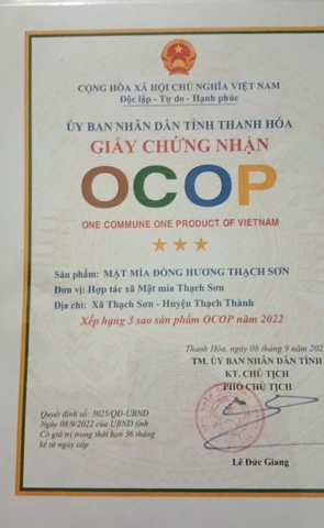 MẬT MÍA ĐỒNG HƯƠNG THẠCH SƠN ( 1 Lít)