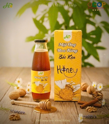 MẬT ONG HOA RỪNG BẮC KẠN (500ml)
