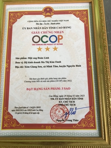 MẬT ONG ĐOÀN LINH (350ml)