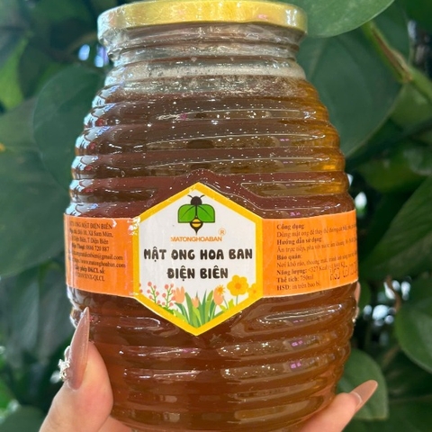 MẬT ONG HOA BAN ( 750ml )