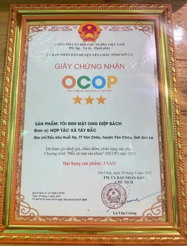TỎI ĐEN MẬT ONG - DIỆP BÁCH (Lọ 380ml)