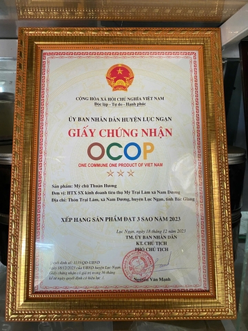 MỲ CHŨ THUẬN HƯƠNG (1Kg)