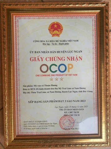 MỲ RAU CỦ THUẬN HƯƠNG (1Kg)