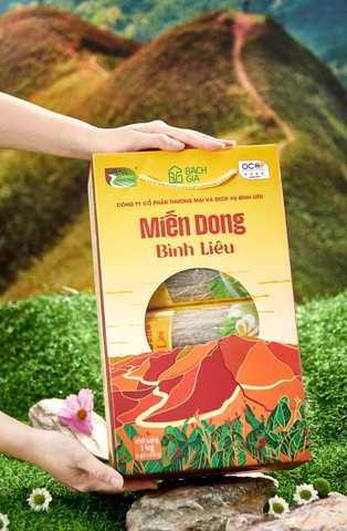 MIẾN DONG BÌNH LIÊU (Hộp 1Kg)