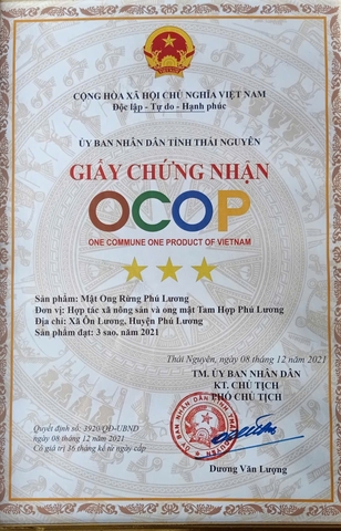 MẬT ONG RỪNG PHÚ LƯƠNG (750ml)