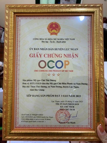 MỲ GẠO CHŨ THỦ DƯƠNG (1Kg)