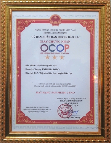 NẾP HƯƠNG BẢO LẠC HATODO (1kg)