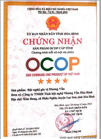 TINH BỘT NGHỆ (hộp 500 g)