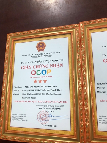 NHO SẤY MUỐI ỚT THANH THỦY (250g)