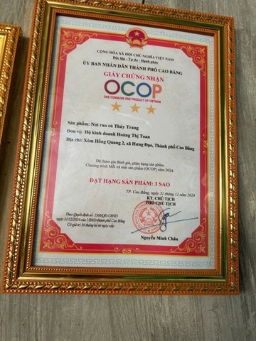 NUI RAU CỦ THUỲ TRANG (500g)