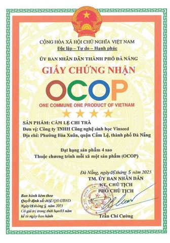 CẨM LỆ CHI TRÀ -  TRÀ KHỔ QUA (42g)