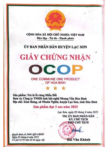 TRÀ LÁ ỔI RỪNG MIỀN ĐỒI (1 bộ 4 hộp)