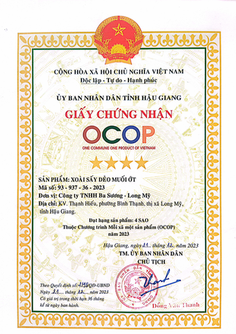 XOÀI SẤY DẺO MUỐI ỚT ( 1kg )