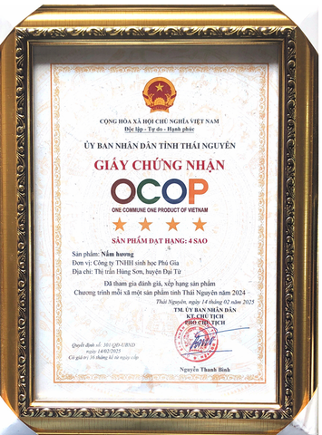 NẤM HƯƠNG ( Sz L) 300g