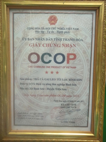 TRÀ CÀ GAI LEO TÚI LỌC BÌNH SƠN (60g)
