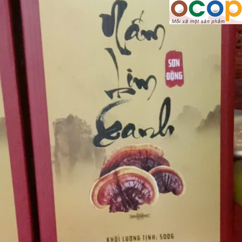 NẤM LIM XANH (Hộp 500 g)