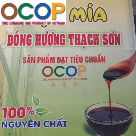 MẬT MÍA ĐỒNG HƯƠNG THẠCH SƠN ( 1 Lít)