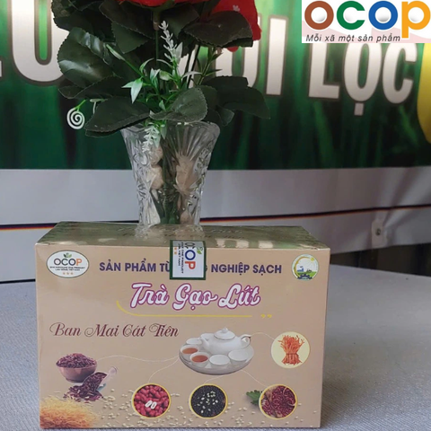 TRÀ GẠO LỨT BAN MAI CÁT TIÊN (20gói)
