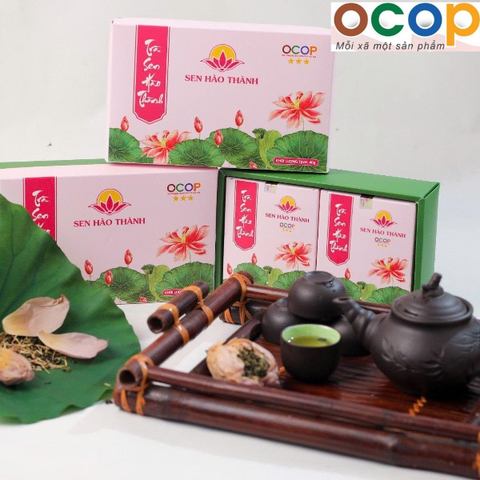 TRÀ SEN HÀO THÀNH (32 túi lọc)