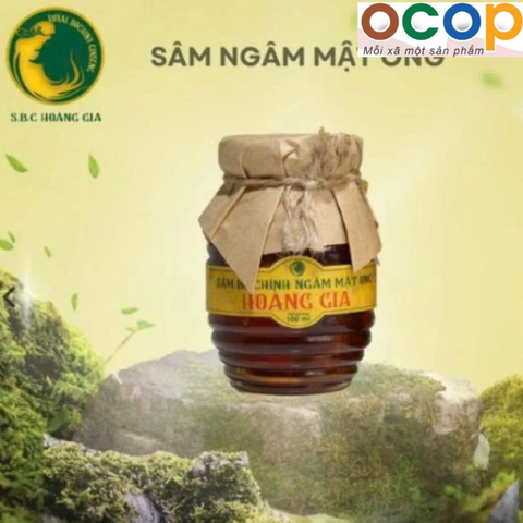 SÂM BỐ CHÍNH NGÂM MẬT ONG HOÀNG GIA (100ml)