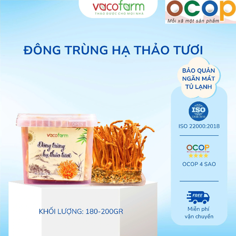 ĐÔNG TRÙNG HẠ THẢO TƯƠI (180g)