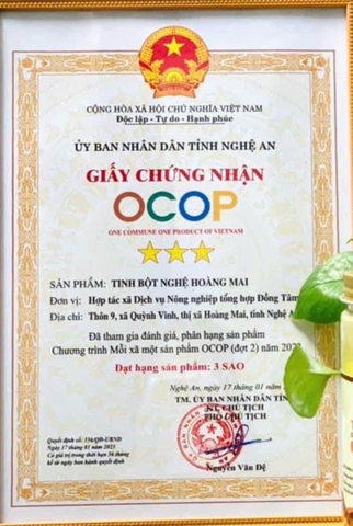 TINH BỘT NGHỆ ( 500g )