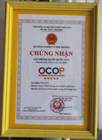 TỎI LÝ SƠN ( tỏi trắng nhiều nhánh) ( 1 kg )