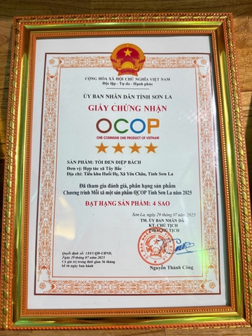 TỎI ĐEN  - DIỆP BÁCH (500g)
