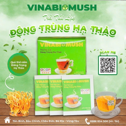 TRÀ TÚI LỌC ĐÔNG TRÙNG HẠ THẢO VINABIOMUSH ( 1 hộp 18 gói)