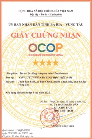 TRÀ TÚI LỌC ĐÔNG TRÙNG HẠ THẢO VINABIOMUSH ( 1 hộp 18 gói)