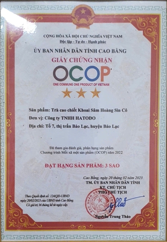 TRÀ CAO CHIẾT KHOAI SÂM HOÀNG SIN CÔ HATODO (100g)