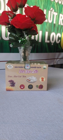 TRÀ GẠO LỨT BAN MAI CÁT TIÊN (20gói)