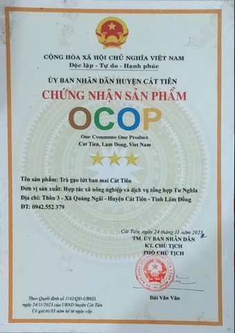 TRÀ GẠO LỨT BAN MAI CÁT TIÊN (20gói)