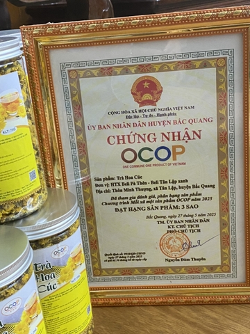 TRÀ HOA CÚC - HTX Beli Pà Thẻn (75g)
