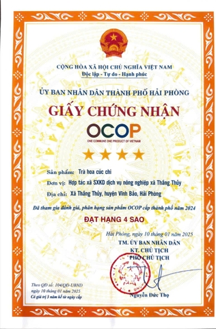 TRÀ HOA CÚC CHI- SÉT QUÀ TẶNG 2 HỘP