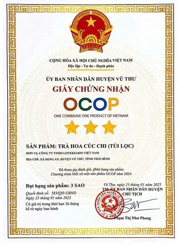 TRÀ HOA CÚC CHI TÚI LỌC LOTEKFARM (Hộp 25g)