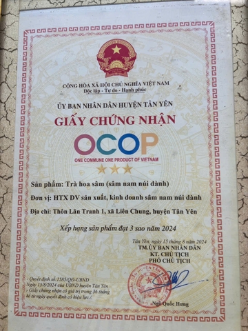 TRÀ HOA SÂM (Sâm nam núi dành - 100g)