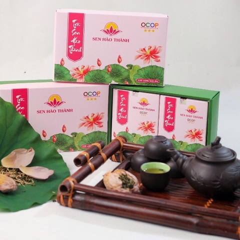TRÀ SEN HÀO THÀNH (32 túi lọc)
