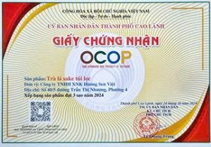 TRÀ LÁ SAKE TÚI LỌC (60g)
