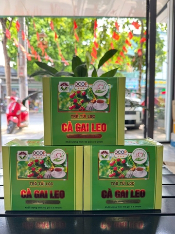 TRÀ TÚI LỌC CÀ GAI LEO (50gói x 5 gram)