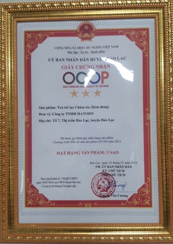 TRÀ TÚI LỌC CHÀM TÍA (NỌONG HUẾ - HATODO)