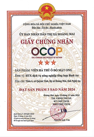 VIÊN HÀ THỦ Ô ĐỎ MẬT ONG ( 500g )