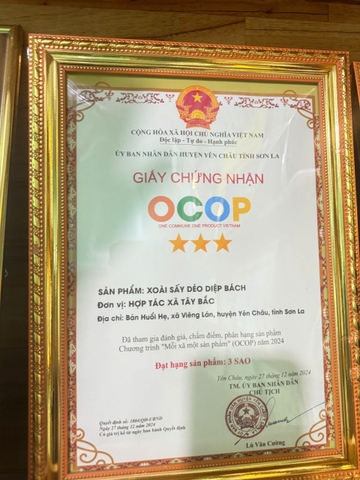 XOÀI SẤY DẺO- DIỆP BÁCH (250g)